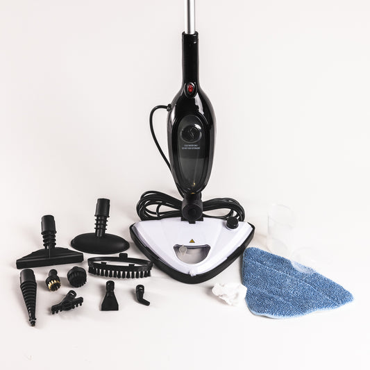 SteamClean Pro